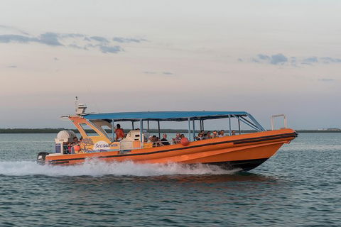 Turtle Tracks Tour To Bare Sand Island From Darwin - Accommodation Batemans Bay 5