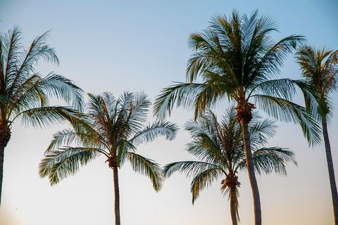 Darwin City Sightseeing Tour With Optional Sunset Cruise - Accommodation Batemans Bay 7