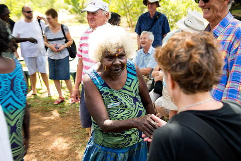 Tiwi Islands Cultural Experience From Darwin Including Ferry - Accommodation Batemans Bay 0