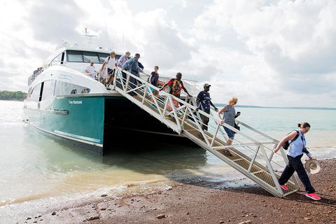 Tiwi Islands Cultural Experience From Darwin Including Ferry - Accommodation Batemans Bay 9