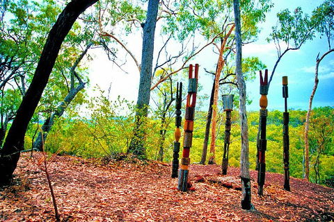 Tiwi Islands Cultural Experience From Darwin Including Ferry - Accommodation Batemans Bay 8