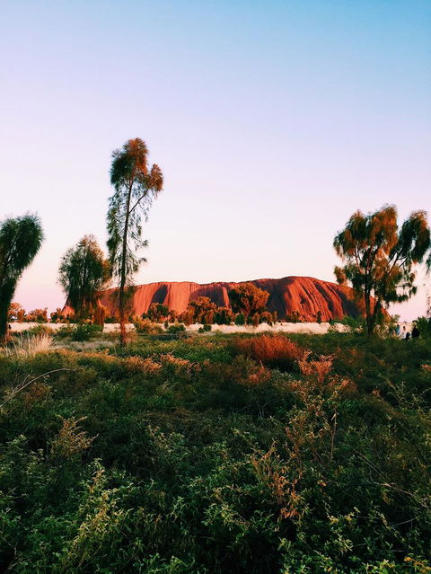 Uluru & Kata Tjuta Sights & Sounds - Accommodation Batemans Bay 3