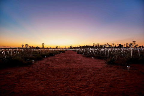 Uluru & Kata Tjuta Sights & Sounds - Accommodation Batemans Bay 16
