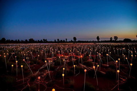Uluru & Kata Tjuta Sights & Sounds - Accommodation Batemans Bay 8