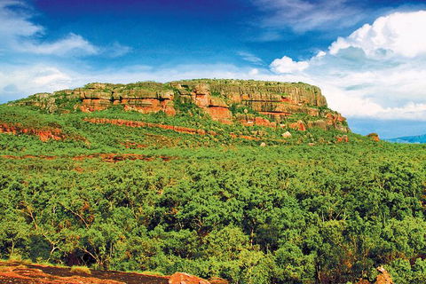 Kakadu, Nourlangie And Yellow Waters Tour From Darwin - Accommodation Batemans Bay 1