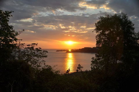 Kakadu, Nourlangie And Yellow Waters Tour From Darwin - Accommodation Batemans Bay 24