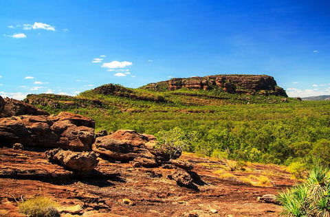 Kakadu, Nourlangie And Yellow Waters Tour From Darwin - Accommodation Batemans Bay 34