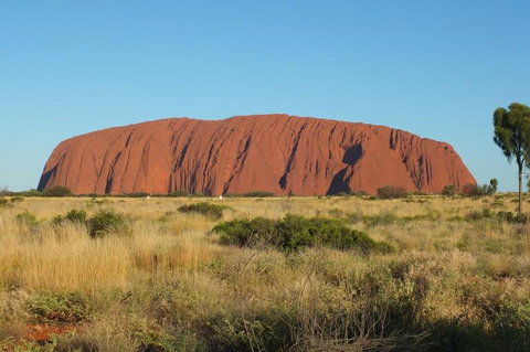 Overnight Uluru (Ayers Rock) Small-Group Camping Tour - Accommodation Batemans Bay 8