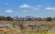 Overnight Uluru (Ayers Rock) Small-Group Camping Tour - thumb 15