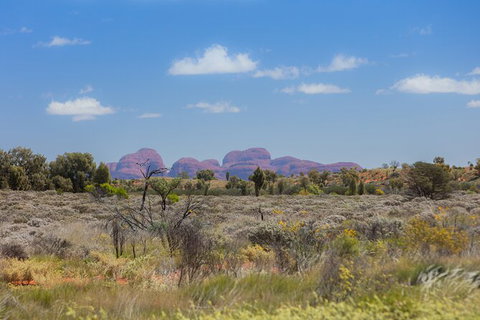 Overnight Uluru (Ayers Rock) Small-Group Camping Tour - Accommodation Batemans Bay 15