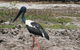 2-Day Kakadu And Arnhem Land Tour From Darwin - thumb 3