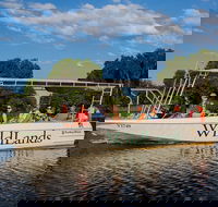 830am Safari Cruise 1.5 Hours - Accommodation Batemans Bay