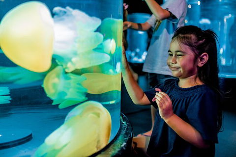 SEA LIFE Sydney Aquarium Entrance Ticket - Accommodation Batemans Bay 26