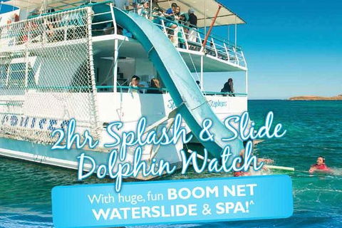 Port Stephens Dolphin Watching Cruise Including Splash And Slide - Accommodation Batemans Bay 0