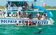 Port Stephens Dolphin Watching Cruise Including Splash And Slide - thumb 1