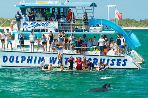 Port Stephens Dolphin Watching Cruise Including Splash And Slide - Accommodation Batemans Bay 1