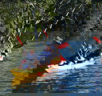 Kayak and SUP Guided Tours - Accommodation Batemans Bay