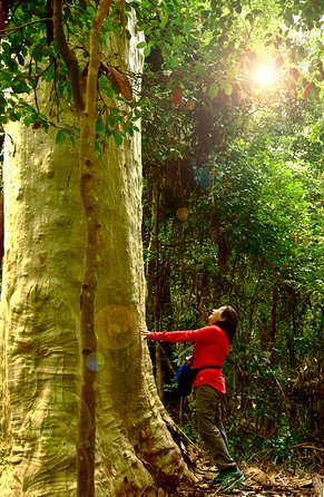 3 Day Murramarang Coast Journey From Batemans Bay With Meals And Villa Accom - Accommodation Batemans Bay 4