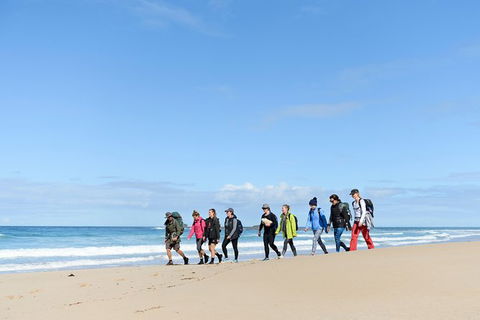 3 Day Murramarang Coast Journey From Batemans Bay With Meals And Villa Accom - Accommodation Batemans Bay 7
