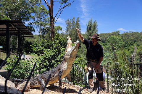 Private Shoalhaven Zoo Experience From Sydney - Accommodation Batemans Bay 0