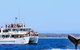 Whale Watching Jervis Bay - thumb 6