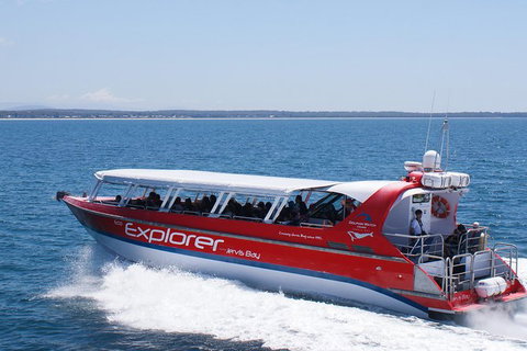 Whale Watching Jervis Bay - Accommodation Batemans Bay 5