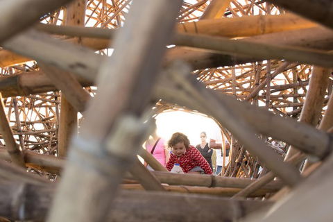 A Full Day In Sydney With A Local: Private & Personalized - Accommodation Batemans Bay 5