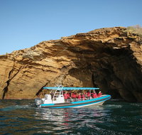 Hunter Coastal Adventure Tour by Boat from Newcastle - Accommodation Batemans Bay