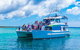 Jervis Bay Whale Watching Tour - thumb 2