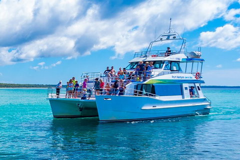 Jervis Bay Whale Watching Tour - Accommodation Batemans Bay 2