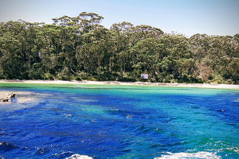 Jervis Bay Passage Tour - Accommodation Batemans Bay 1