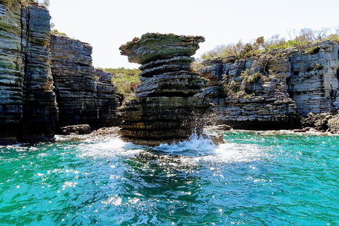 Jervis Bay Passage Tour - Accommodation Batemans Bay 15