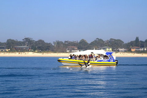 Jervis Bay Passage Tour - Accommodation Batemans Bay 16