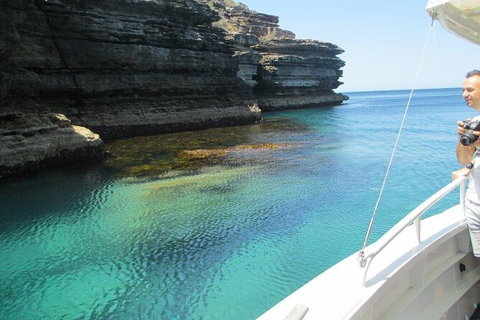 Jervis Bay Passage Tour - Accommodation Batemans Bay 14