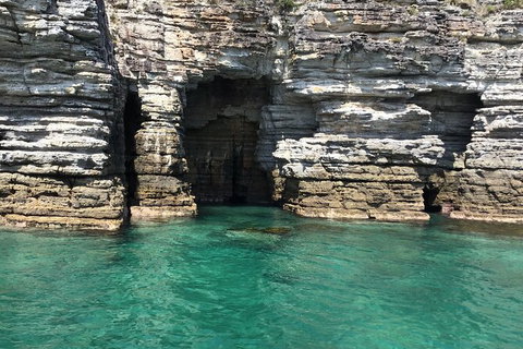 Jervis Bay Passage Tour - Accommodation Batemans Bay 13