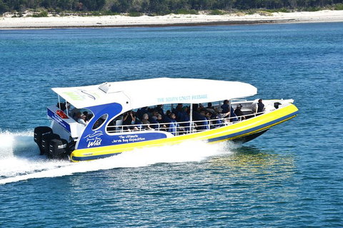 Jervis Bay Passage Tour - Accommodation Batemans Bay 11
