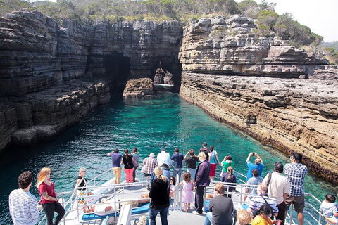 Jervis Bay Passage Tour - Accommodation Batemans Bay 3