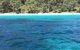 Jervis Bay Passage Tour - thumb 5