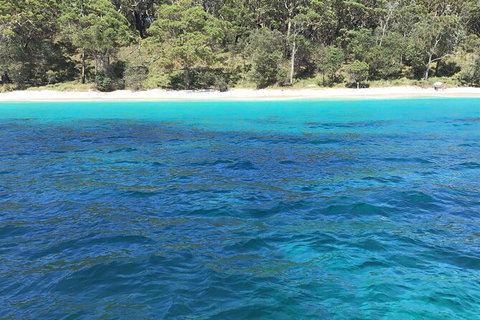 Jervis Bay Passage Tour - Accommodation Batemans Bay 5