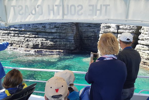 Jervis Bay Passage Tour - Accommodation Batemans Bay 7