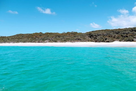 Jervis Bay Passage Tour - Accommodation Batemans Bay 10