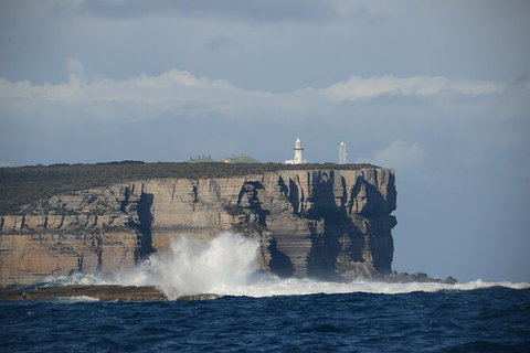Jervis Bay Passage Tour - Accommodation Batemans Bay 8