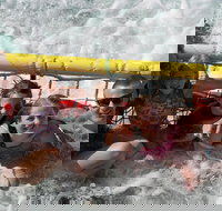 Jervis Bay Boom Netting and Dolphins Tour - Accommodation Batemans Bay