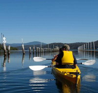 Batemans Bay Oyster Tasting Kayak Tour - Accommodation Batemans Bay
