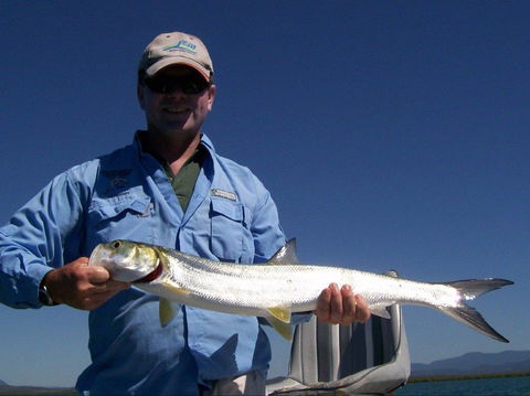Barramundi To Trevally – A Seaforth Fishing Adventure - Accommodation Batemans Bay 2