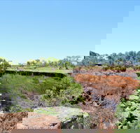 Bladensburg National Park - Accommodation Batemans Bay