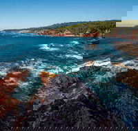 Boyds Tower to Saltwater Creek Walking Track - Accommodation Batemans Bay