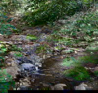 Cascades picnic area - Accommodation Batemans Bay