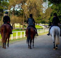 Centennial Stables - Accommodation Batemans Bay
