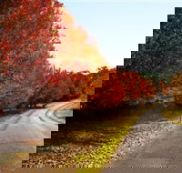 Charles Sturt University Winery - Accommodation Batemans Bay